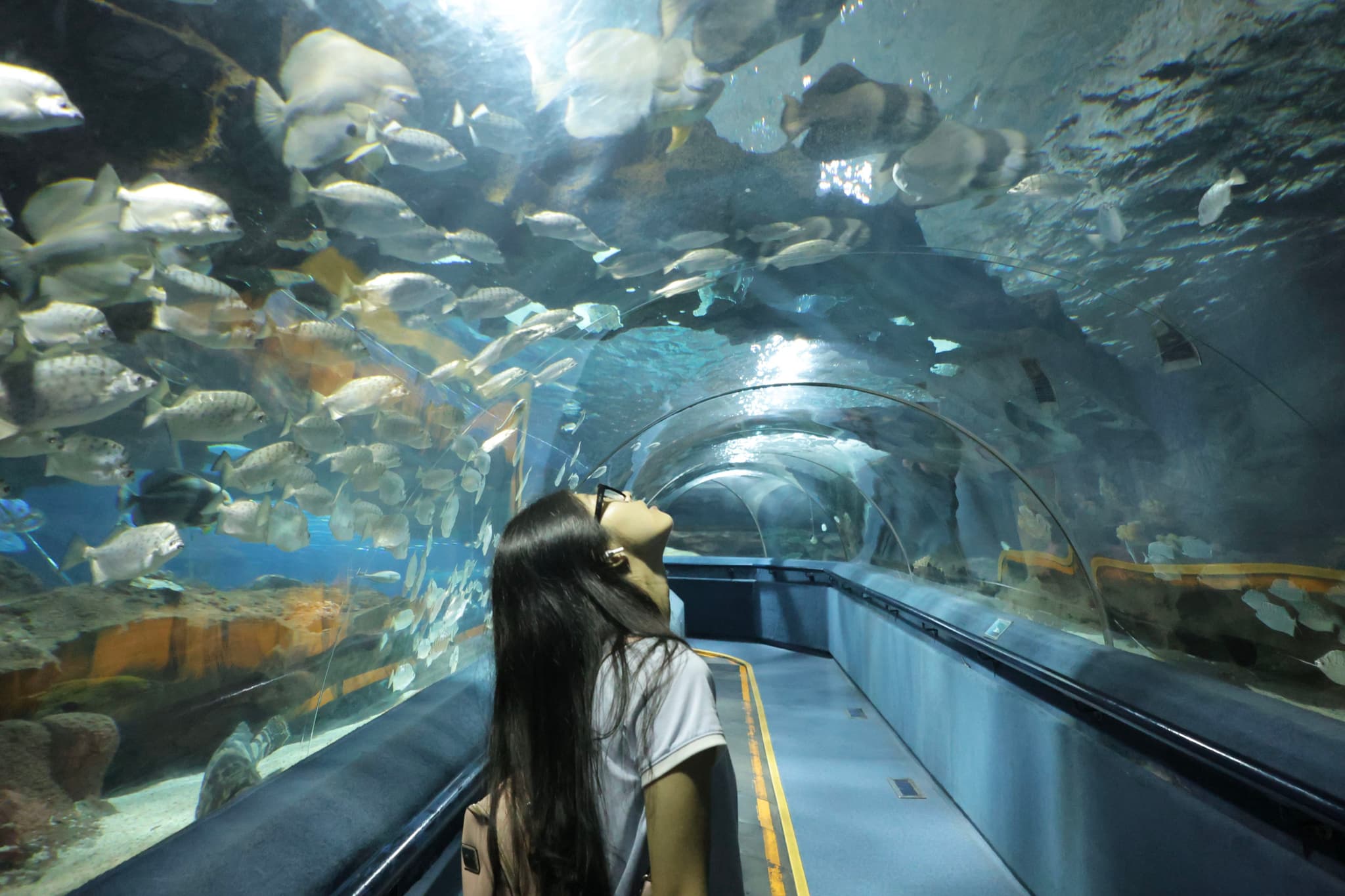 《北京富国海底世界》