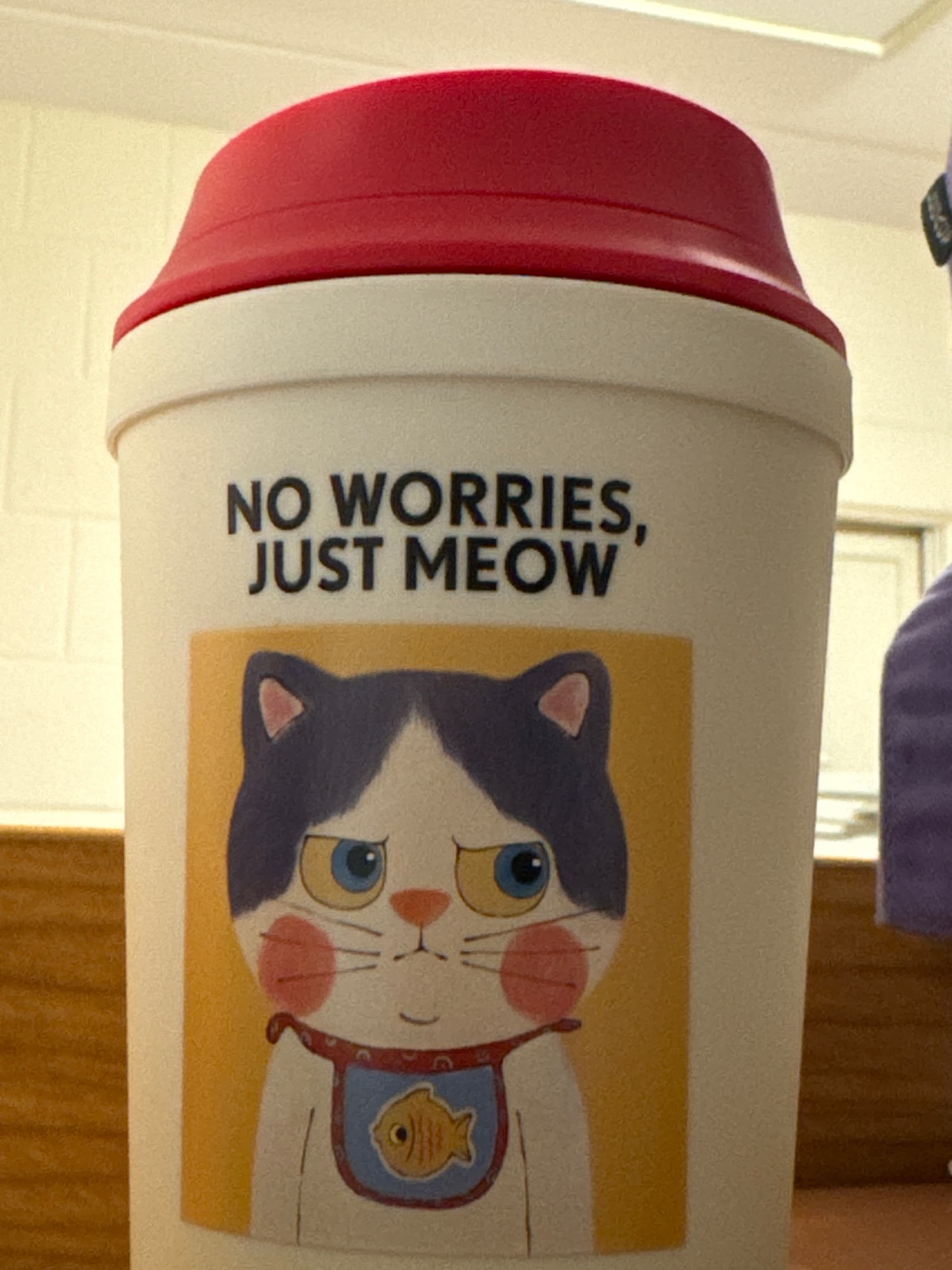 NO WORRIES JUST MEOWWWWWWW