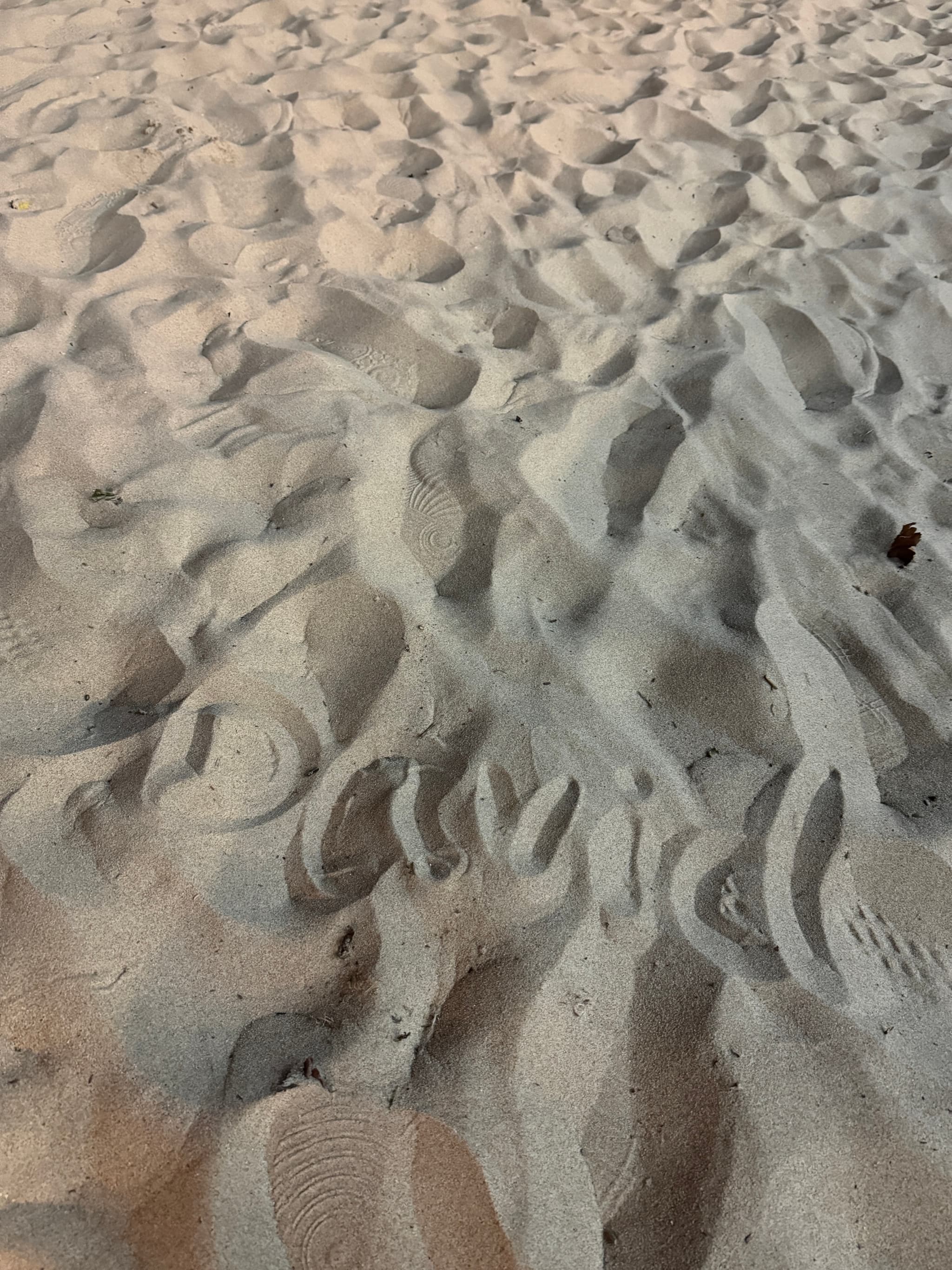 想和小陈一起追极光！