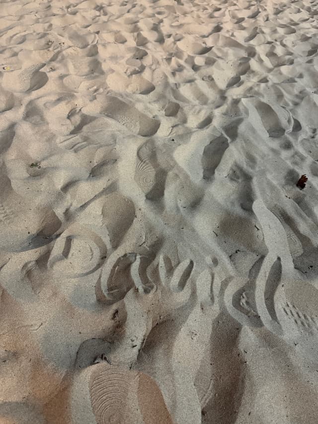 想和小陈一起追极光！